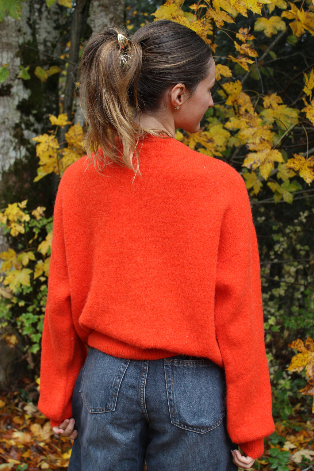 Cardigan