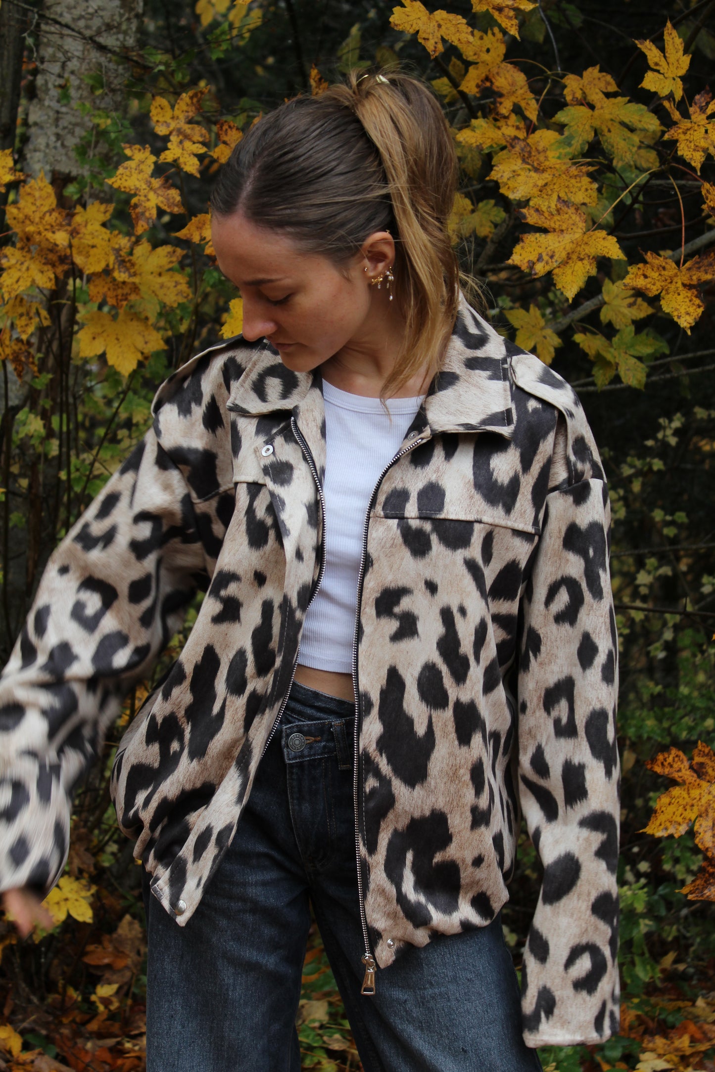 Bombers leopard