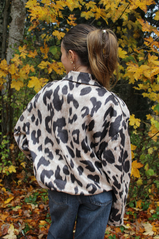 Bombers leopard